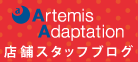 アダプテーション ブログ
